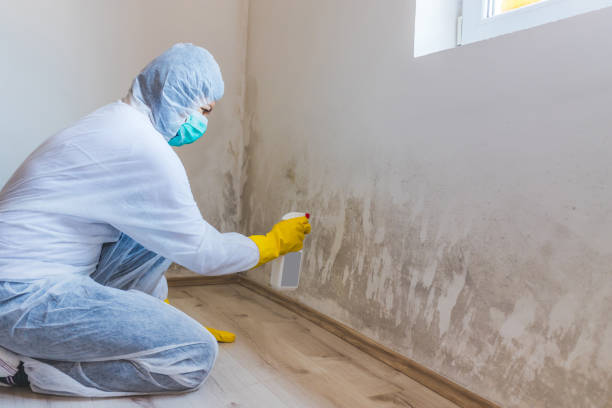Licensed Mold Testing service in Clarksville, VA - WQB Mold Removal