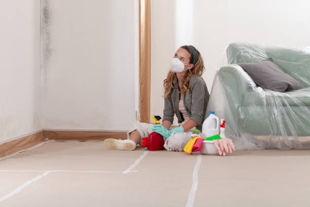 Reliable Mold Testing contractor in Clarksville, VA by WQB Mold Removal