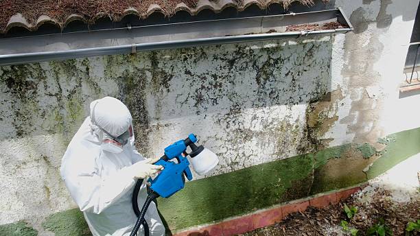 Top rated local Mold Testing specialists in Clarksville, VA